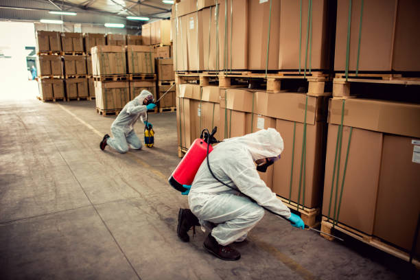Trusted Lebanon South, PA Pest Control Experts