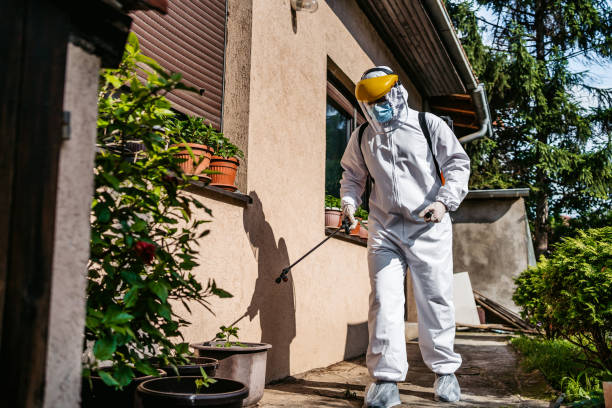 Best Best Pest Control Companies  in Lebanon South, PA