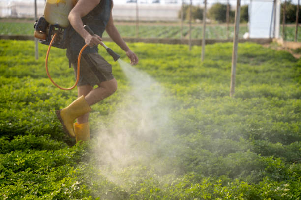 Best Wasp Removal Services  in Lebanon South, PA