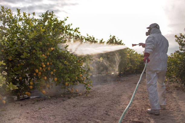Insect Control in Lebanon South, PA