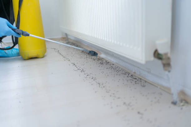 Best Affordable Pest Control Services  in Lebanon South, PA