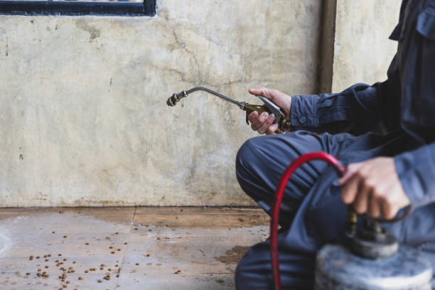 Best Termite Control Services  in Lebanon South, PA